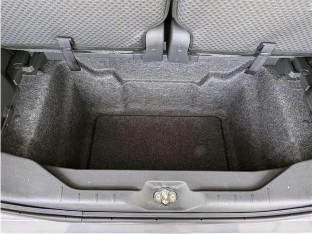 トヨタ ピクシスメガ