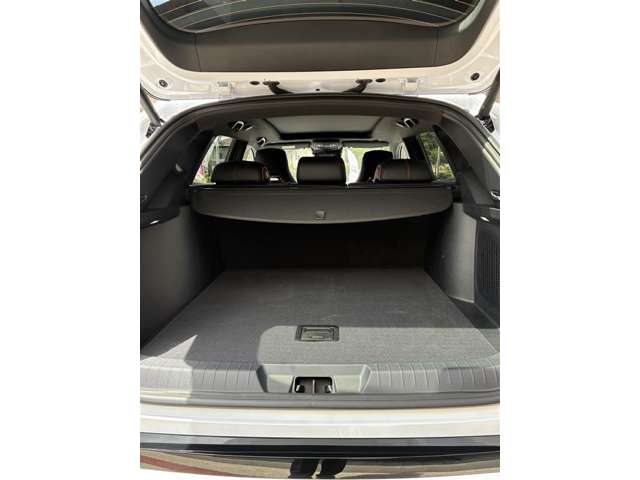 BYD BYDシーライオン6