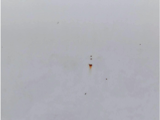 ダイハツ ハイゼットトラック