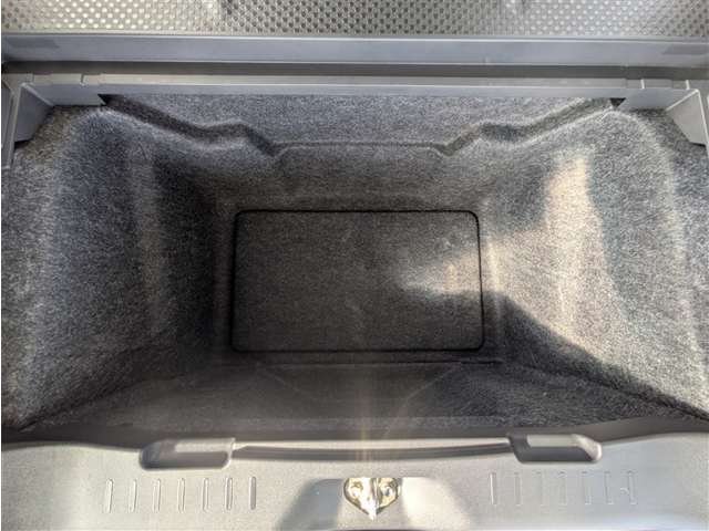 トヨタ ピクシスメガ