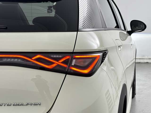 BYD BYDドルフィン