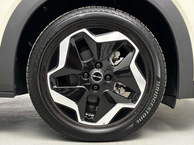 BYD BYDドルフィン