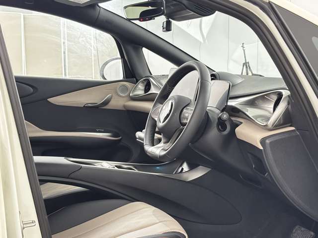 BYD BYDドルフィン