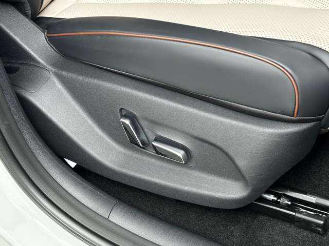 BYD BYDドルフィン