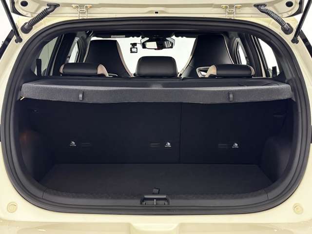 BYD BYDドルフィン