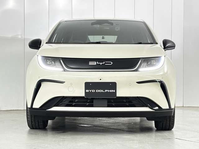 BYD BYDドルフィン