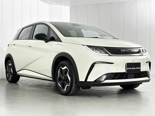 BYD BYDドルフィン