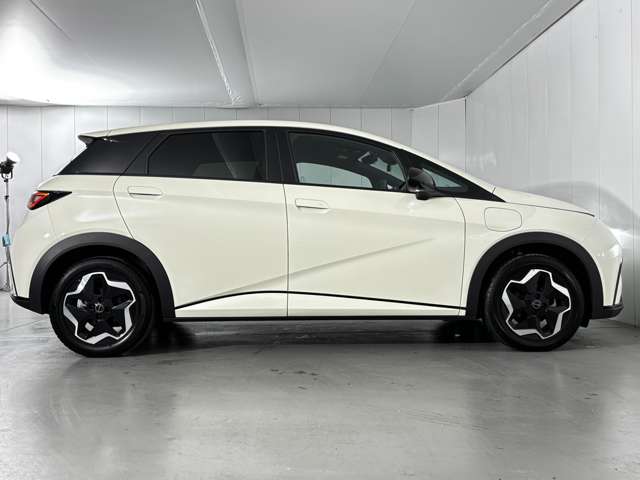 BYD BYDドルフィン
