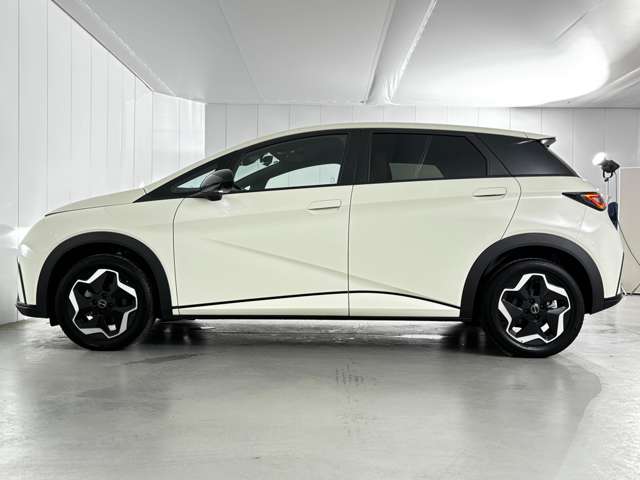 BYD BYDドルフィン