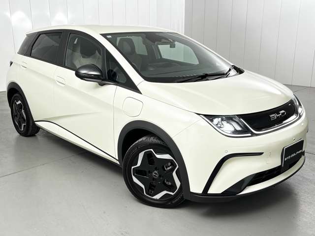 BYD BYDドルフィン