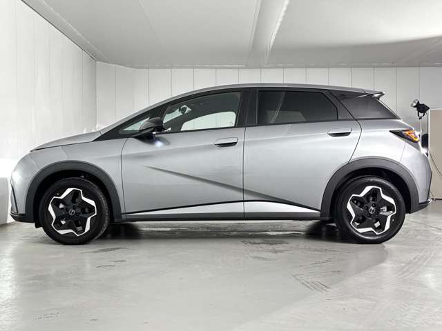 BYD BYDドルフィン
