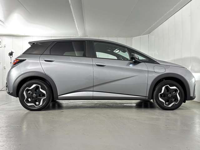 BYD BYDドルフィン