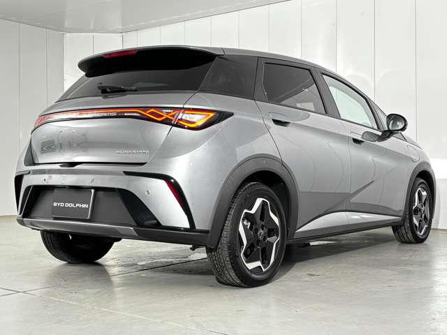 BYD BYDドルフィン