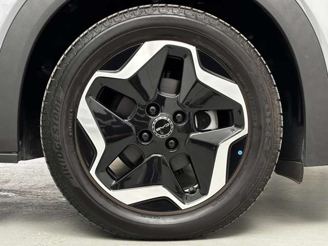 BYD BYDドルフィン