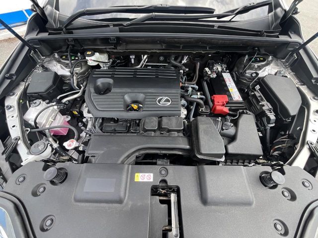 レクサス NX