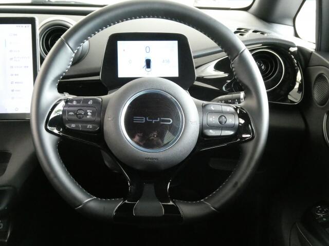 BYD BYDドルフィン