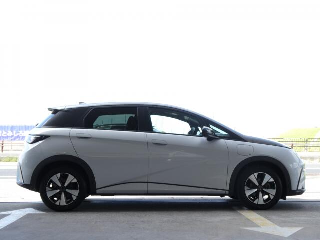 BYD BYDドルフィン