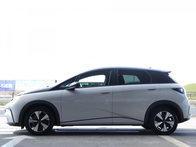 BYD BYDドルフィン