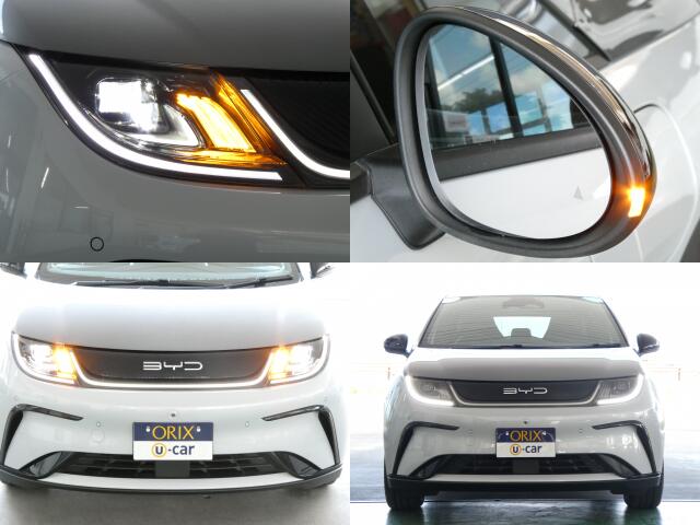 BYD BYDドルフィン