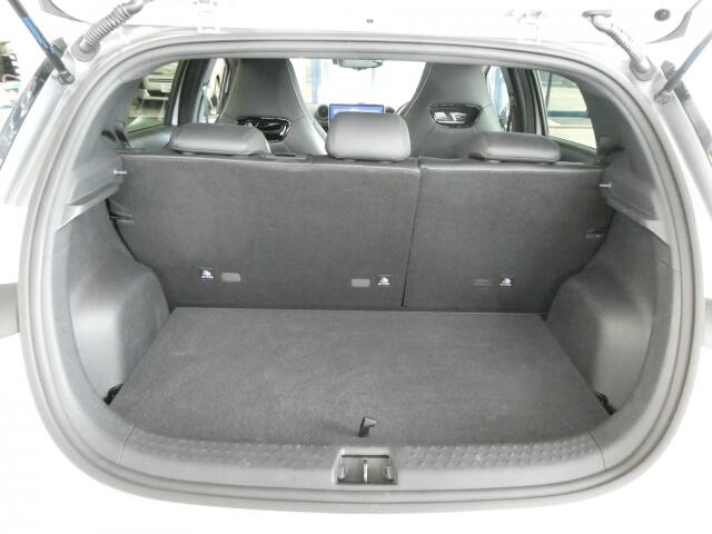 BYD BYDドルフィン