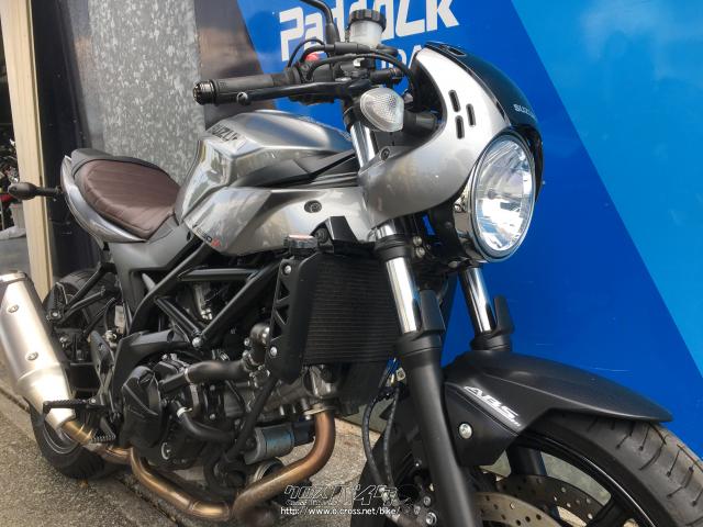 人気新品入荷 SUZUKI SV650X ABS '19 グレー exelop.com