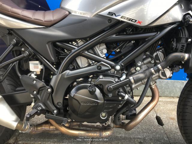 スズキ SV650X