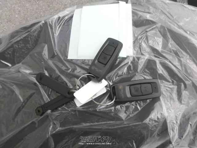 ホンダ ディオ110 NEWモデル スマートキー・ディセント