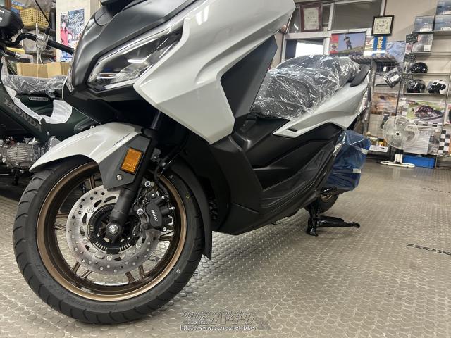 (2019 年末セール) HONDA ホンダ FORZA フォルツァ 250 2018- (MF-13) リア フェンダー 2019 Honda Forza 300 Repsol Special Edition - Walkaround - 2018 EICMA Milan