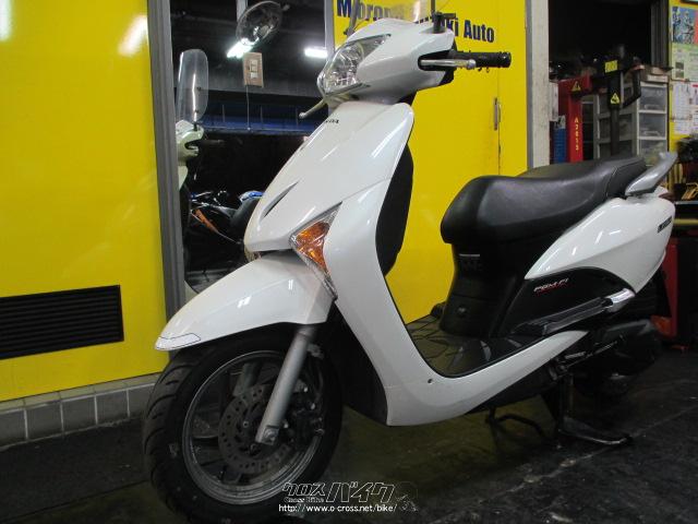 当時物リード工業　HONDA TACT 泥除け ホワイト 当時物リード工業 HONDA TACT 泥除け ホワイト-新登場