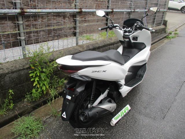 ホンダ PCX125 JF81 低走行車 44km・パールホワイト・125cc・バイクショップくによし・44km・保証付 | 沖縄のバイク情報 -  クロスバイク