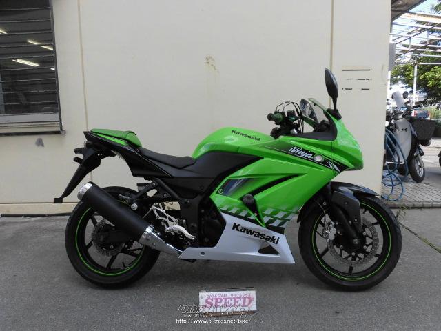Kawasaki Ninja250R（2010年式） ライムグリーン化繊着物八咫烏岡重