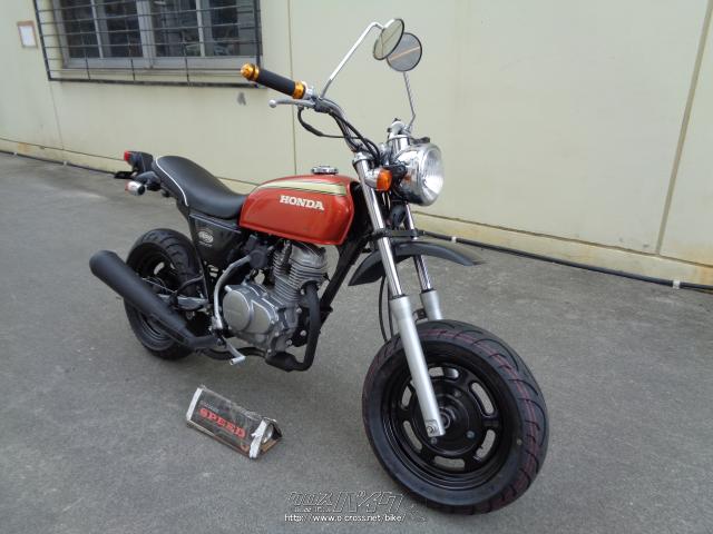 ホンダ エイプ50 インジェクション車・2007(H19)初度登録(届出)年  