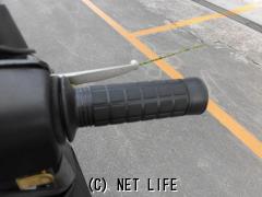 ホンダ ライブディオ