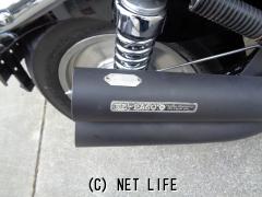 ホンダ マグナ250