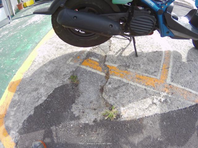 ホンダ ズーマー