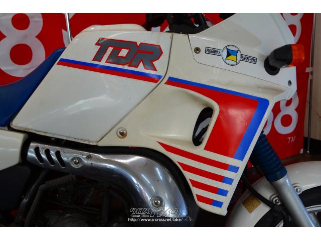 中古車保証1ヶ月。 ヤマハ TDR