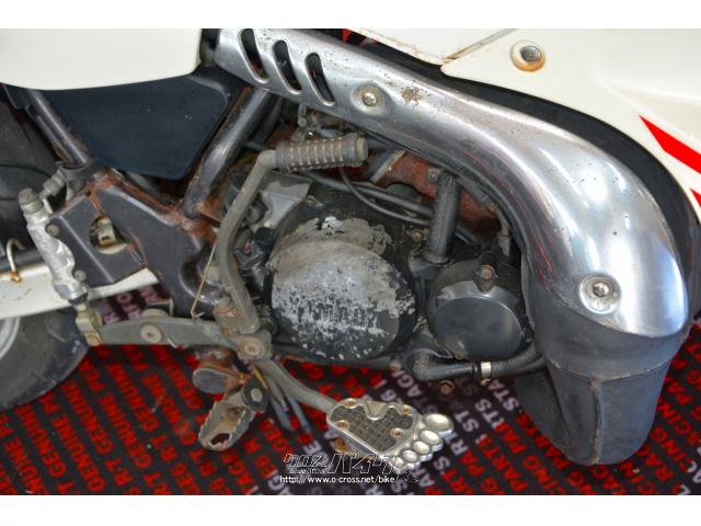 国道58号線大山交差点!原付バイク専門店「スクーターキング58」です! ヤマハ TDR