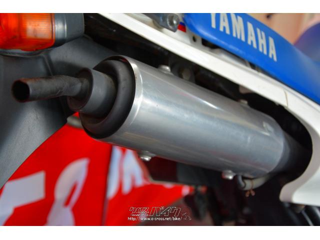 あっと驚く旧車やレア車。最新のEVスクーターまで、約50台のバイクがあなたを待っています。 ヤマハ TDR