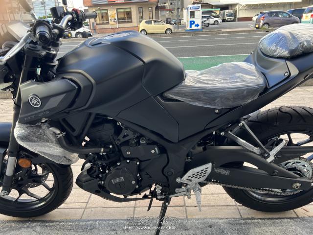 ヤマハ MT-25