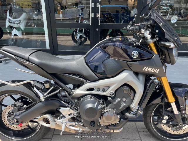 ヤマハ MT-09・2014(H26)初度登録(届出)年・バイオレット・900cc