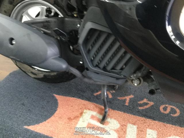 ホンダ ジョルノ 50 ローン、クレジットカード支払いOK!!・2017(H29