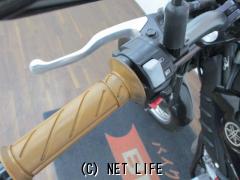 ヤマハ トリッカー