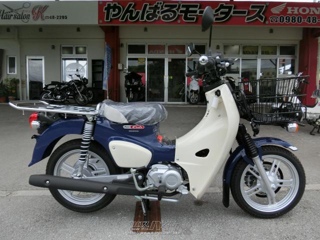 ホンダ スーパーカブ 110 プロ・ブル-・110cc・やんばるモータース | 沖縄のバイク情報 - クロスバイク