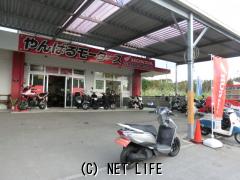 ホンダ リード125