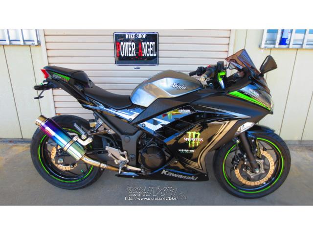 カワサキ ニンジャ250 スペシャルエディション・2015(H27)初度登録  