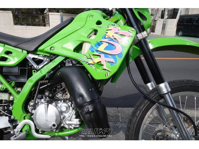 カワサキ KDX125 SR・1994(H6)初度登録(届出)年・125cc・ブルームーン 
