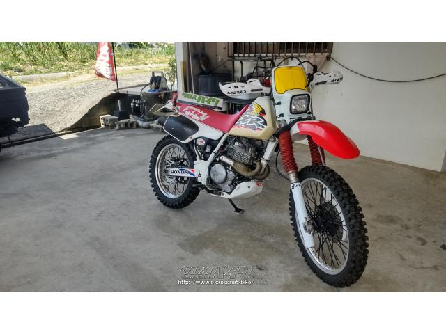 ホンダ その他 XR250R (欧米仕様) 1990年式 逆輸入車・白/赤・250cc・バイクショップ WORK-AREA  藏元・27