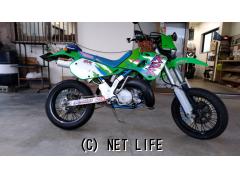 カワサキ KDX250 250SR カスタム・モタード仕様!! 2サイクル 40PS OFFタイヤ付き  ・試乗可・希少車!・1992(H4)初度登録(届出)年・ライムグリーン・250cc・バイクショップ WORK-AREA 藏元・17,232km・保証無  | 沖縄のバイク情報 - クロスバイク