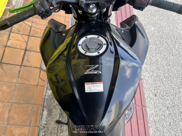 カワサキ Z250