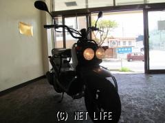 ホンダ ズーマー